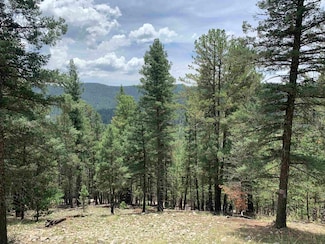 55 Forest View Rd Unit 5-6, Cloudcroft, NM 88317