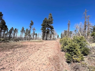 0 Colorado 159 Unit 23580607, Fort Garland, CO