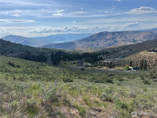 0 Lot 9 Div III Unit NWM2381377, Orondo, WA 98834