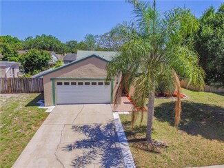 11003 Ashbourne Cir, Tampa, FL 33624