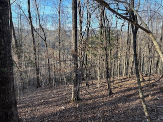 00 Indian Trail, Franklin, NC 28734