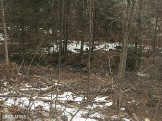 0 Lower Horse Valley Rd Unit 1000210431, Orrstown, PA 17244