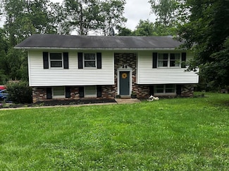 1098 Castleman Run Rd, Valley Grove, WV 26060