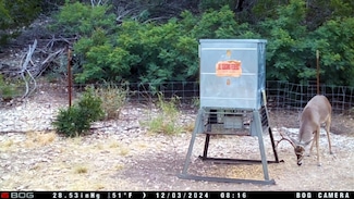6441 J S Murry Rd, Rocksprings, TX 78880