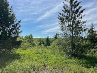 3 Vl Fairview Road Lot Unit WP003, Farmersville Station, NY 14060