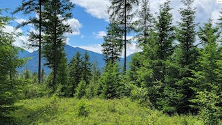 NNA Continental Lane - Tract 1, Bonners Ferry, ID 83805