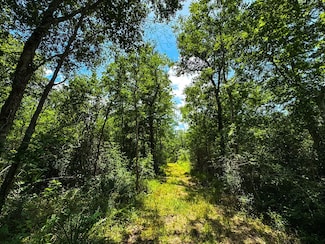 4888 Baldwin Dr, Hungerford, TX 77435