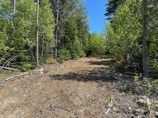 Lot 3 Mt Jefferson Heights, Lee, ME 04455