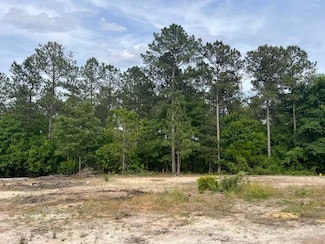 FYF 3 Fox Young Rd Unit FYF 3, Wagener, SC 29164