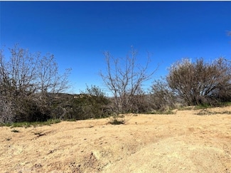 0 Coulter Dr Unit IG25029201, Cedar Glen, CA 92321