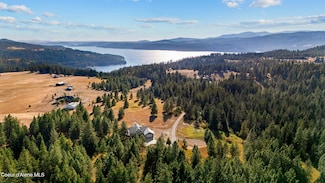 2953 E Badger Rd, Harrison, ID 83833