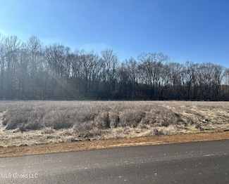 2 Pebble View Dr, Byhalia, MS 38611
