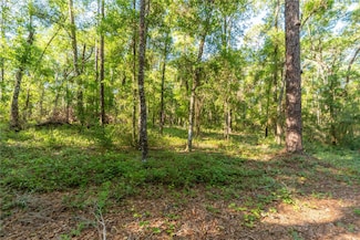 5282 S Robert Blake Ave, Inverness, FL 34452