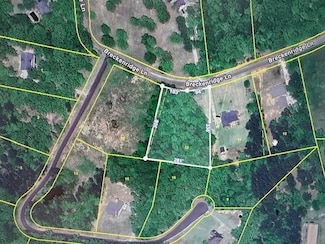 12 Breckenridge Ln, Savannah, TN 38372