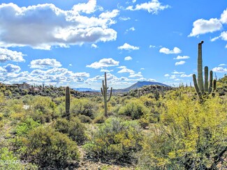 42004 N Chiricahua Pass, Scottsdale, AZ 85262