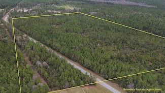 0 Deep Creek Rd, Wiggins, MS 39577