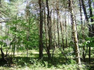 0 Garrison Rd Unit 10 11230596, Harrisville, NY 13648