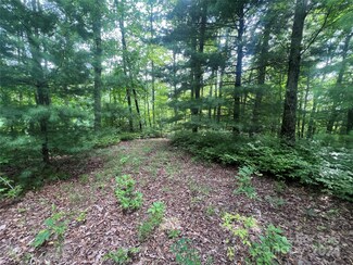 999 Laurel Thicket Ln, Brevard, NC 28712