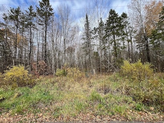 XXX Deer Lake Rd, Exeland, WI 54835