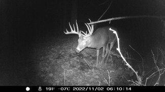 123.5+/- Acres County Rd E, Richland Center, WI 53581