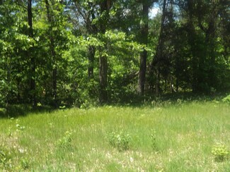 0 Bryant Rd Unit Lot 48 321113, Glennie, MI 48737