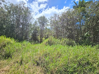 0 Road 9 (Koloa Maoli) Unit 719501, Mountain View, HI 96760