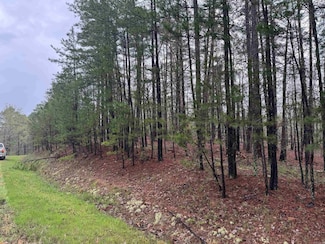 7 Balboa Dr, Hot Springs Village, AR 71909