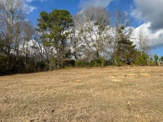 0 County Road 6 Unit 5, Glenwood, AL 36034