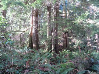 0 Morrison Rd, South Bend, WA 98586