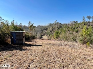 0 County Road 63, Valley Grande, AL 36701