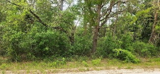 0 NE 280th Ave, Old Town, FL 32680