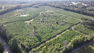 00 Mississippi 50, Pheba, MS 39755