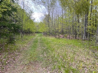 0 Maple Ave, Goodman, WI 54125