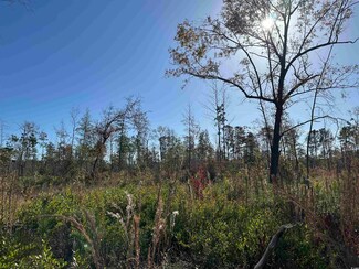 18+/- Acres TBD Epps Rd, New Zion, SC 29111