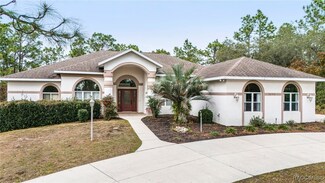 3888 N Stirrup Dr, Beverly Hills, FL 34465