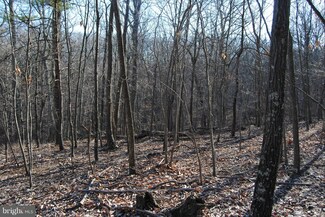 LOT 3 Knob Rd, Gainesboro, VA 22637