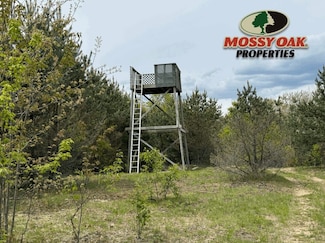 8350 N Morey Rd, Manton, MI 49663