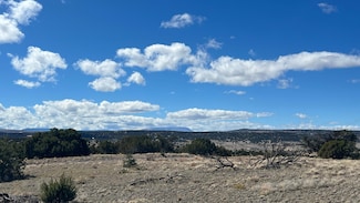 0 Deer Cir Unit 25338497, Quemado, NM 87829