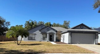 1533 Rolling Meadow Dr, Valrico, FL 33594