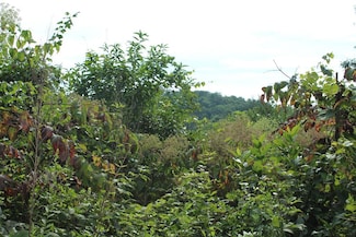 Lot 26 Trillium Hgts Dr, Hayesville, NC 28904