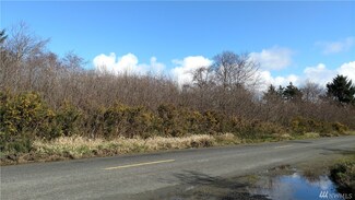 0 Grayland Beach Rd Unit 1092599, Grayland, WA 98547