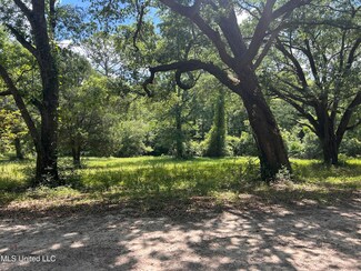 8297 Mississippi 198, Lucedale, MS 39452