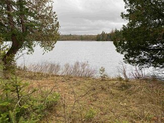 - Daniels Pond Rd Unit Lot 1, Glover, VT 05839