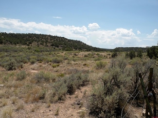 East side Colorado 141, Naturita, CO 81422