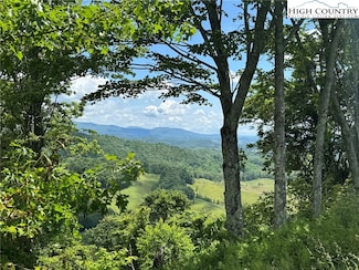 TBD lot 4 Mayito Ln, Mouth of Wilson, VA 24363