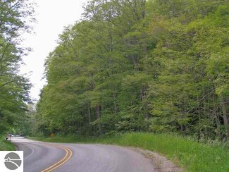 00 W Burdickville Rd, Maple City, MI 49664