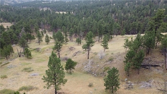 Lot 64 Pine Crest Rd, Columbus, MT 59019