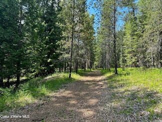 1 Kreiger Creek Rd, Careywood, ID 83809
