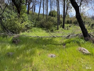 7905 Saint Helena Rd, Santa Rosa, CA 95404