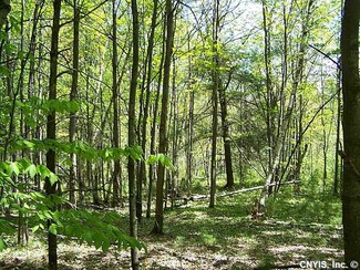 00 Texas Rd, Croghan, NY 13327